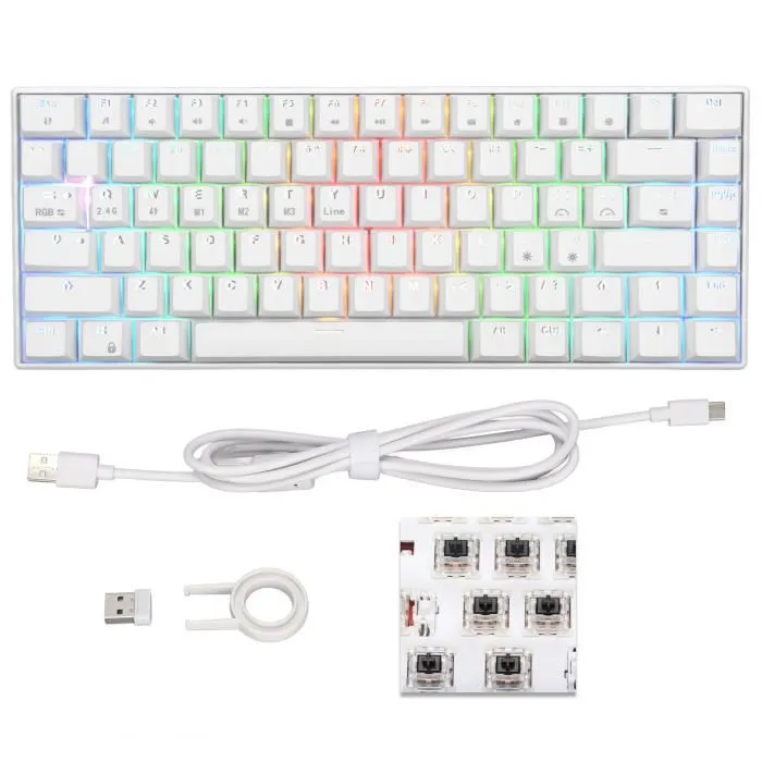 CLAVIER MECANIQUE GAMING HAVIT 60 Pourcent KB881L WHITE